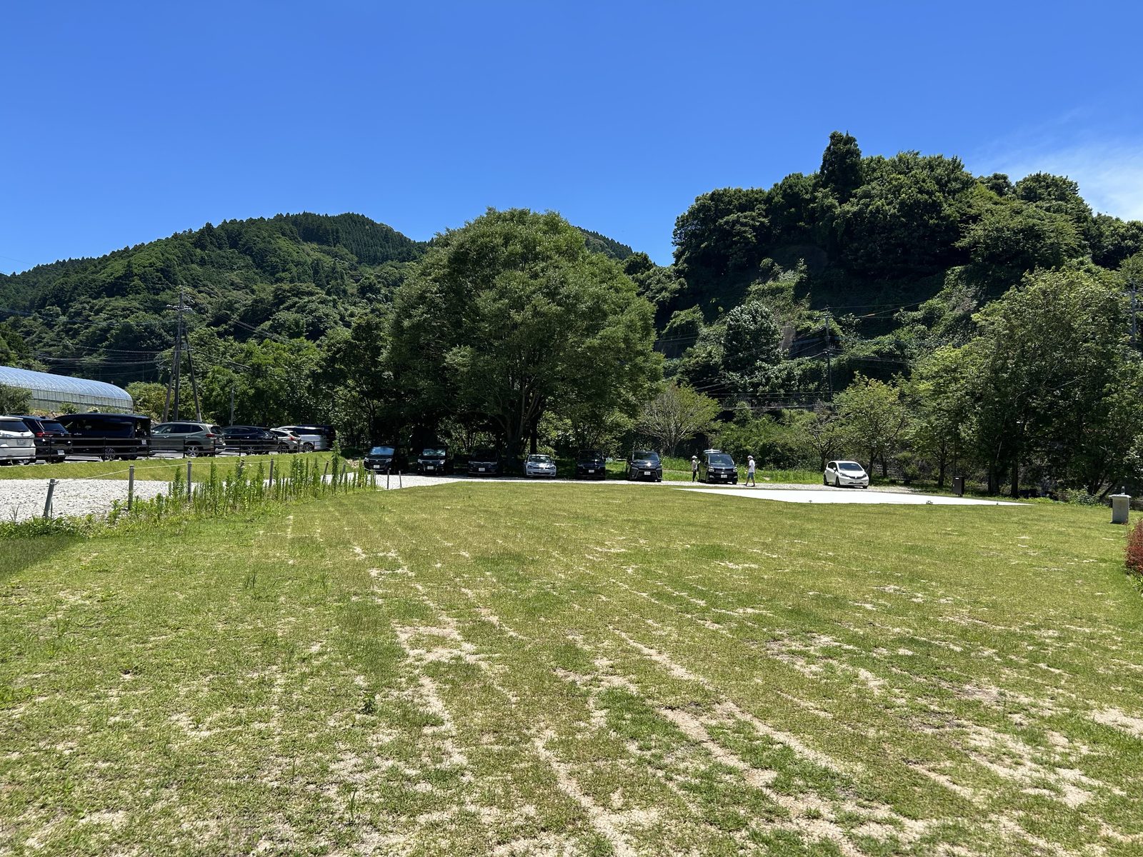 工事後に整備された鳴神公園の駐車場(芝生スペース)