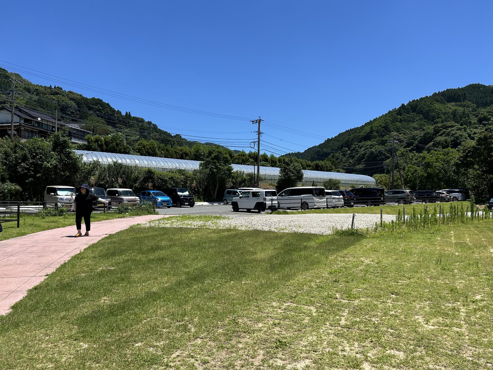 鳴神公園の駐車場に停まる車とビニールハウス