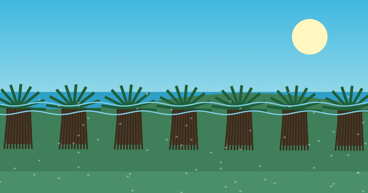 奄美大島の風景イラスト